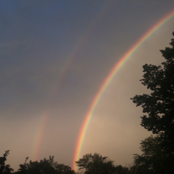 Meet your Posher, Ariana - Picture 1 of 1